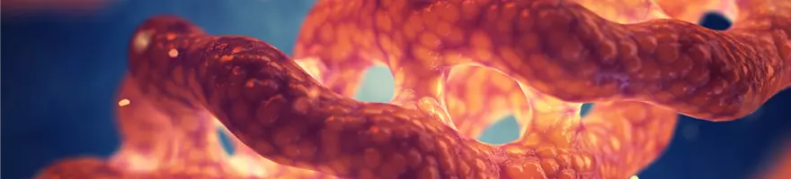 Collagen