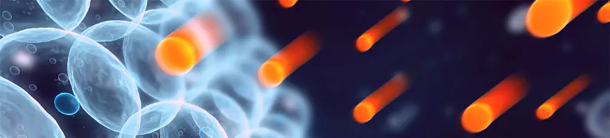 free radicals