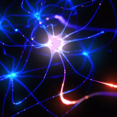 Neuroscience