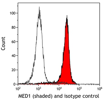 Rabbit MED1 Recombinant Monoclonal Antibody