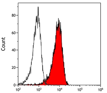 Rabbit Notch2 Antibody