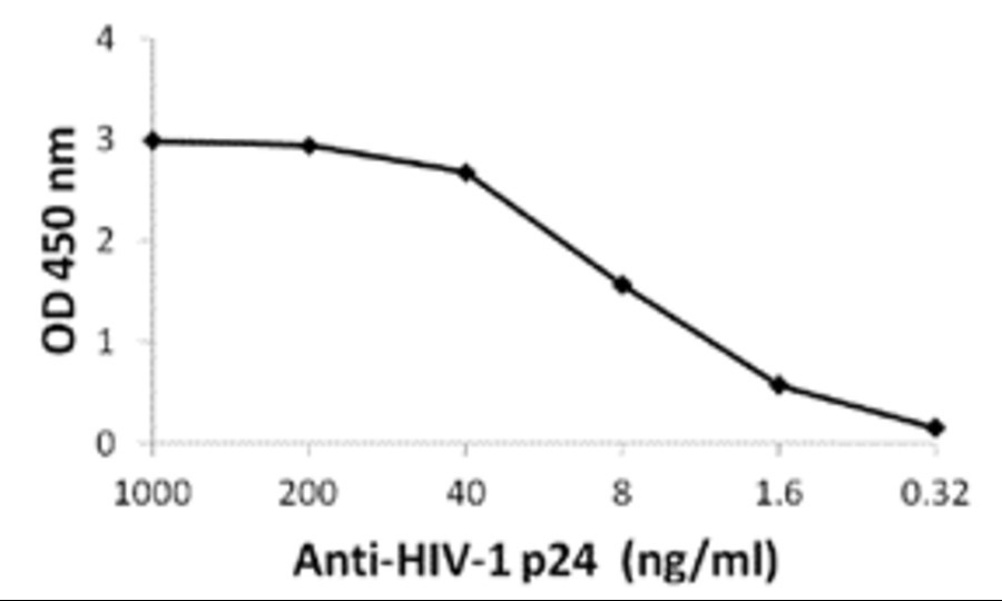 GAG Antibody