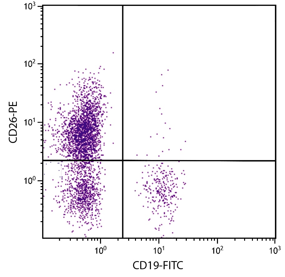 DPP4 Antibody (PE)