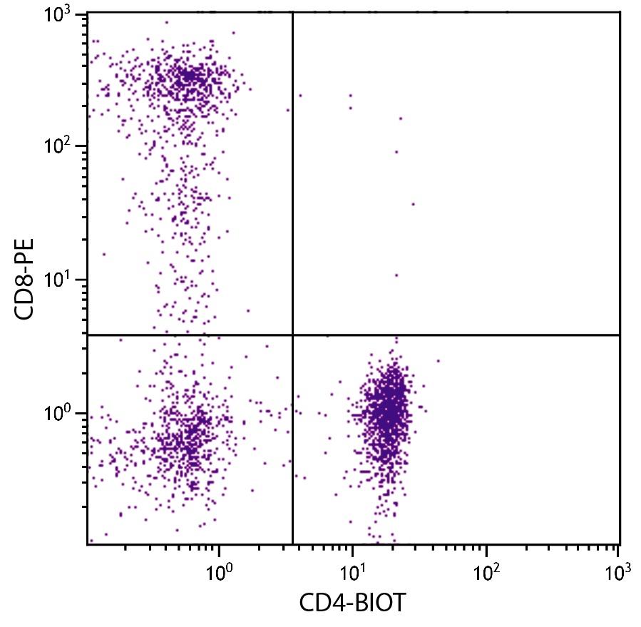 CD4 Antibody (Biotin)
