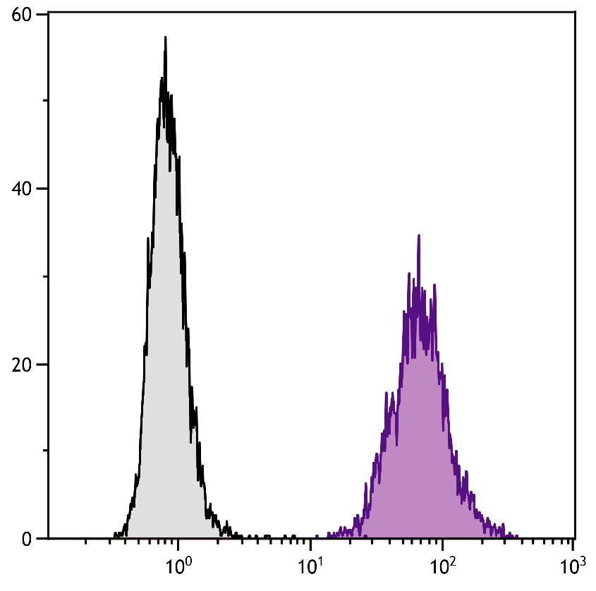 Cd86 Antibody (FITC)