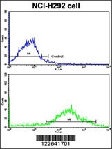 MLX Antibody