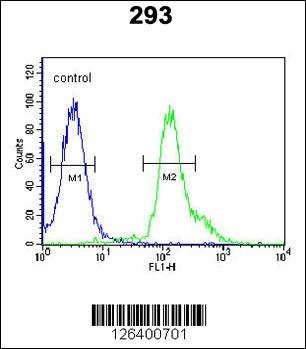 RSPO2 Antibody