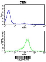 PRDX6 Antibody