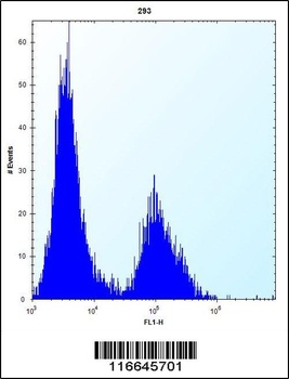 CLDN2 Antibody