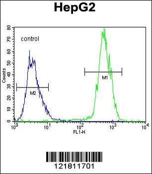 PRRT1 Antibody