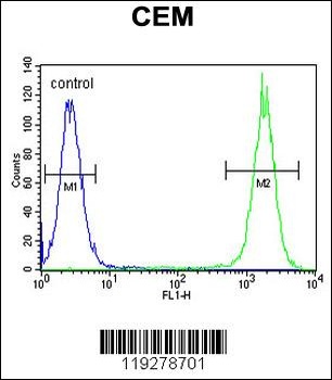 DUOX2 Antibody