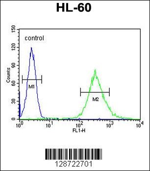 ENGASE Antibody