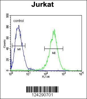 MPP1 Antibody