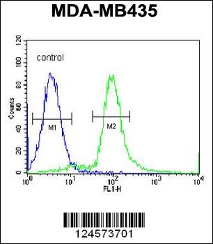 ARHGAP10 Antibody