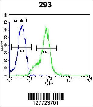 LGALS9B Antibody