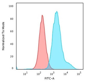 KRT7 Antibody