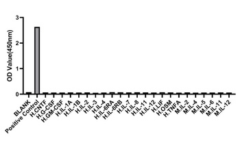 IL6 Antibody