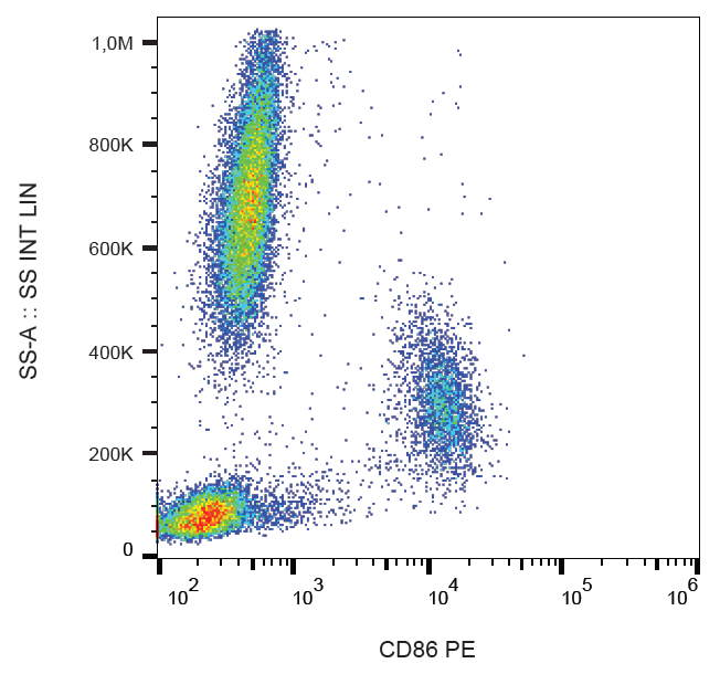 CD86 Antibody (PE)
