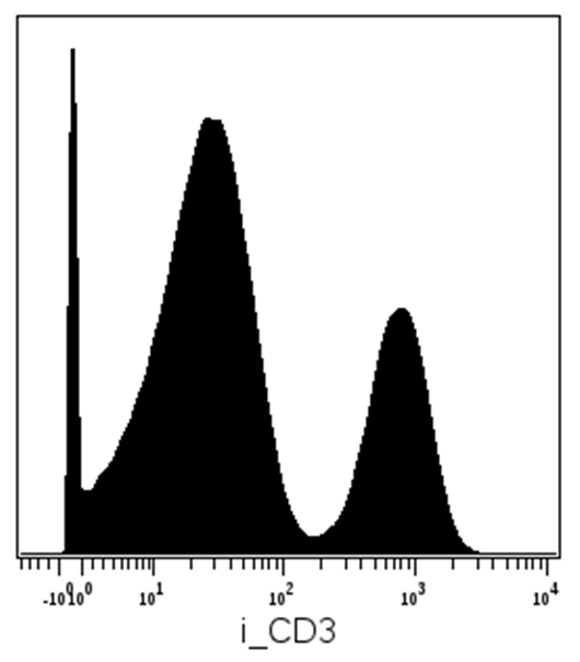 CD3 Antibody