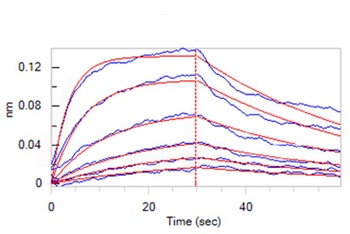 Human IL-6 R alpha Protein, His Tag