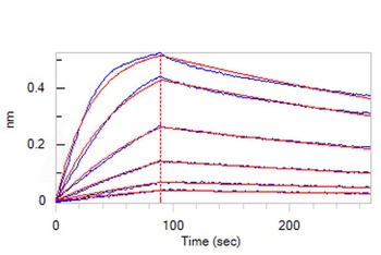 Human CTGF Protein, His Tag