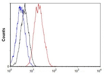 Phospho-EIF2S1/EIF2S1 Rabbit Monoclonal Antibody