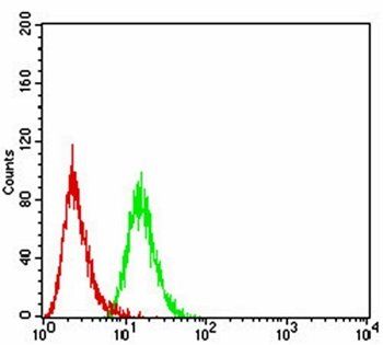BMP4 Antibody