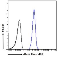 PGC1A/PPARGC1A Antibody