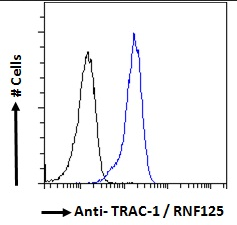 TRAC-1/RNF125 Antibody