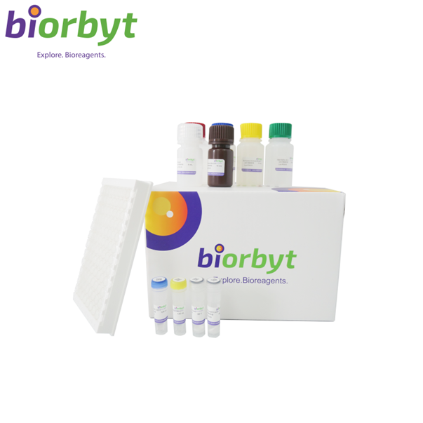 PCR Clean-Up & Gel Extraction Kit