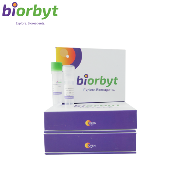 GD Reagent (Genomic DNA Isolation Reagent)